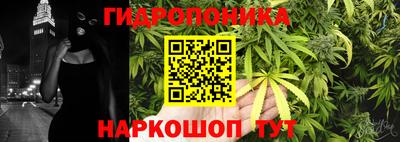 дурь Можга
