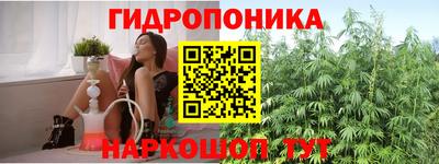 крисы Можайск