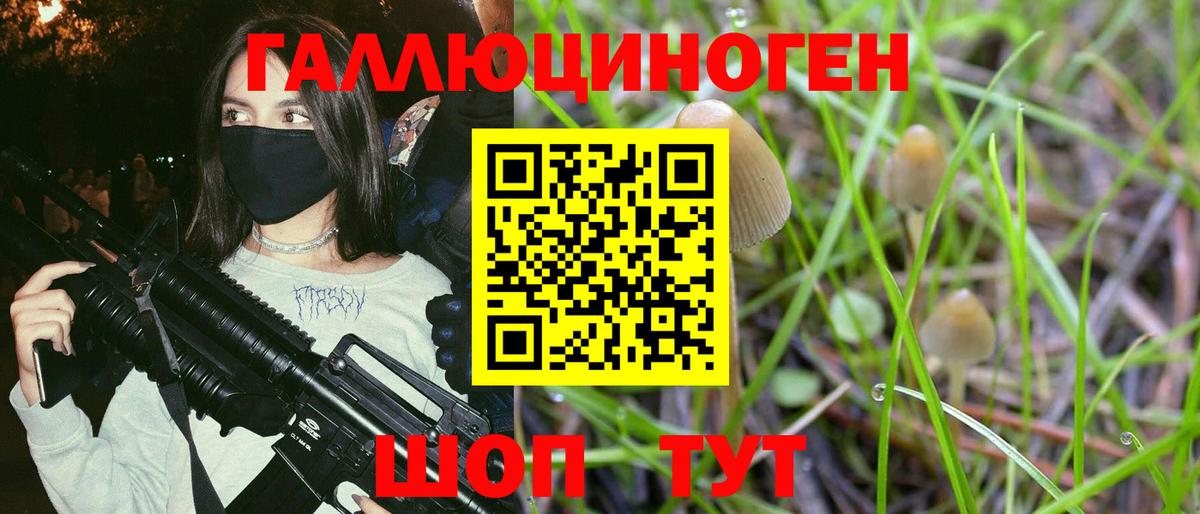 Галлюциногенные грибы GOLDEN TEACHER Чапаевск