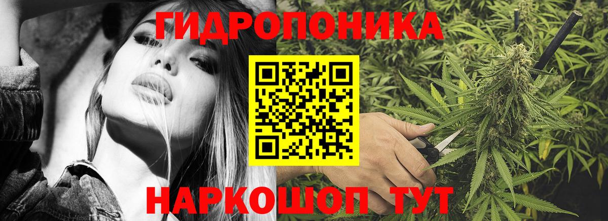 Конопля план Чапаевск
